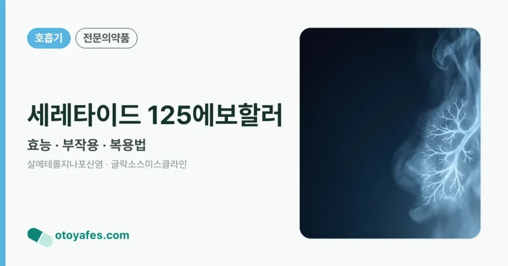 세레타이드 125에보할러 정리 썸네일