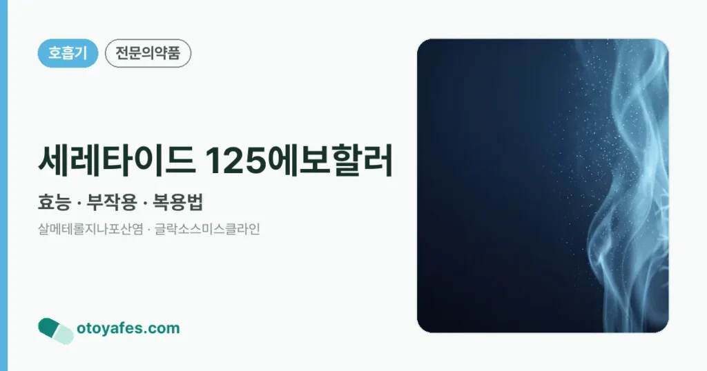 세레타이드 125에보할러 정리 썸네일