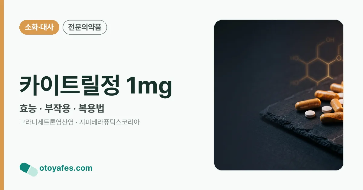 카이트릴정 1mg 정리 썸네일