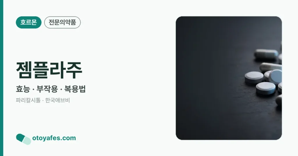 젬플라주 정리 썸네일