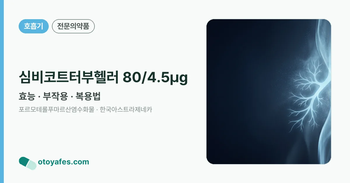 심비코트터부헬러 80/4.5㎍ 정리 썸네일