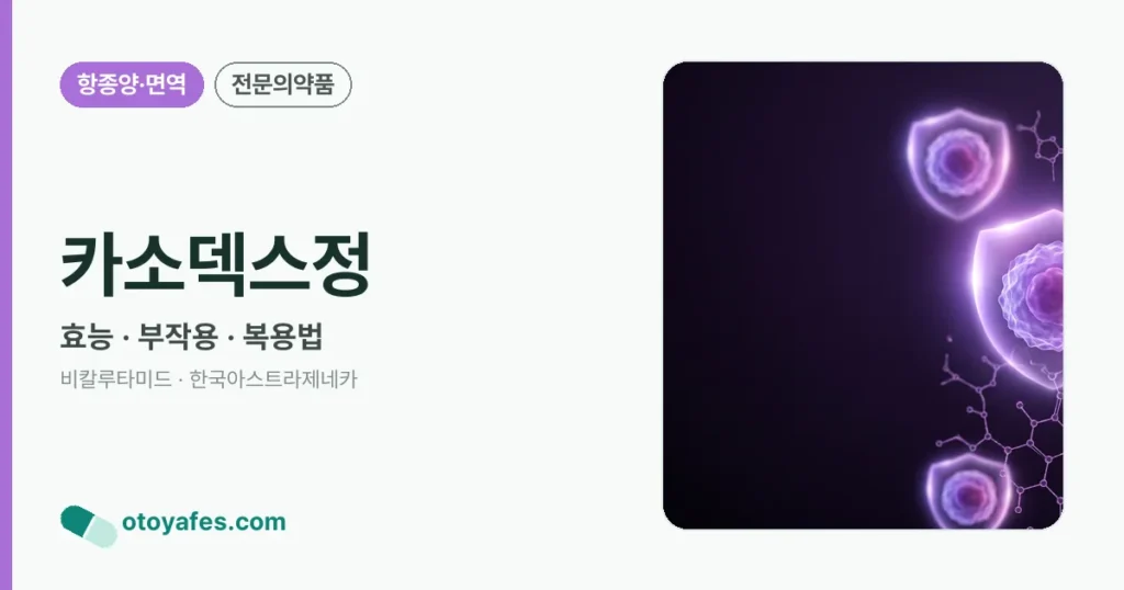 카소덱스정 정리 썸네일