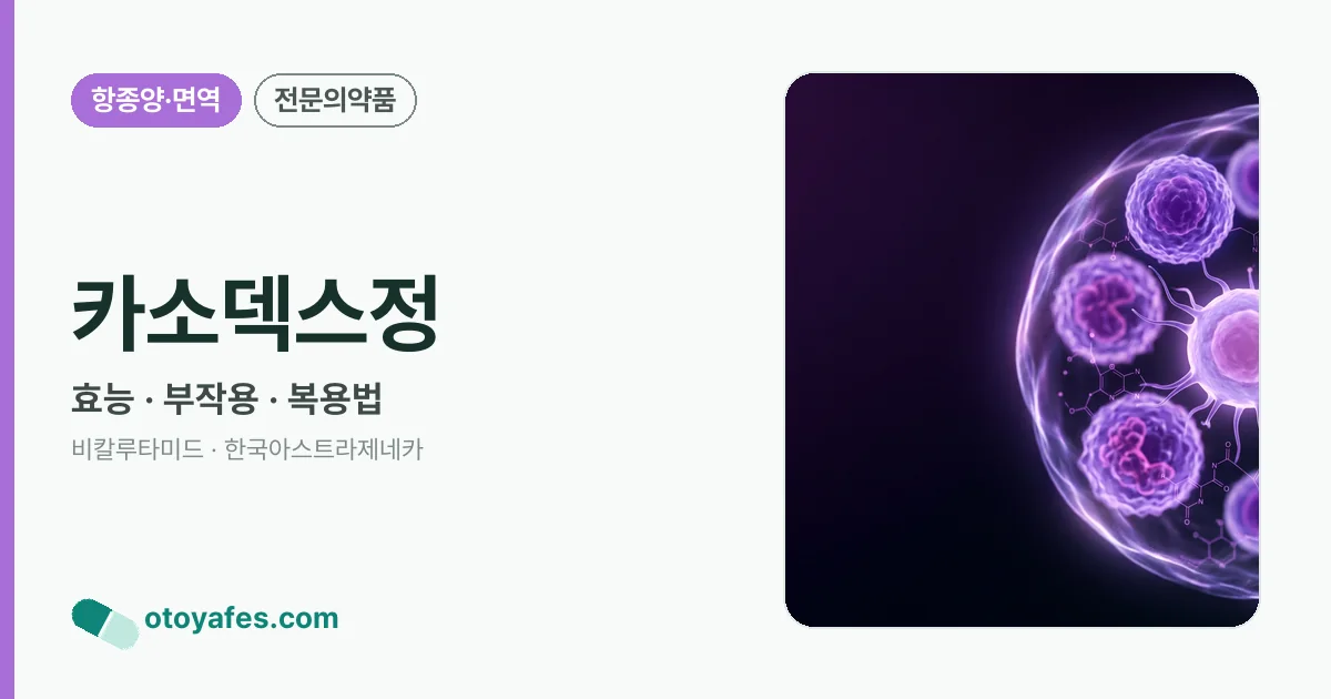 카소덱스정 정리 썸네일