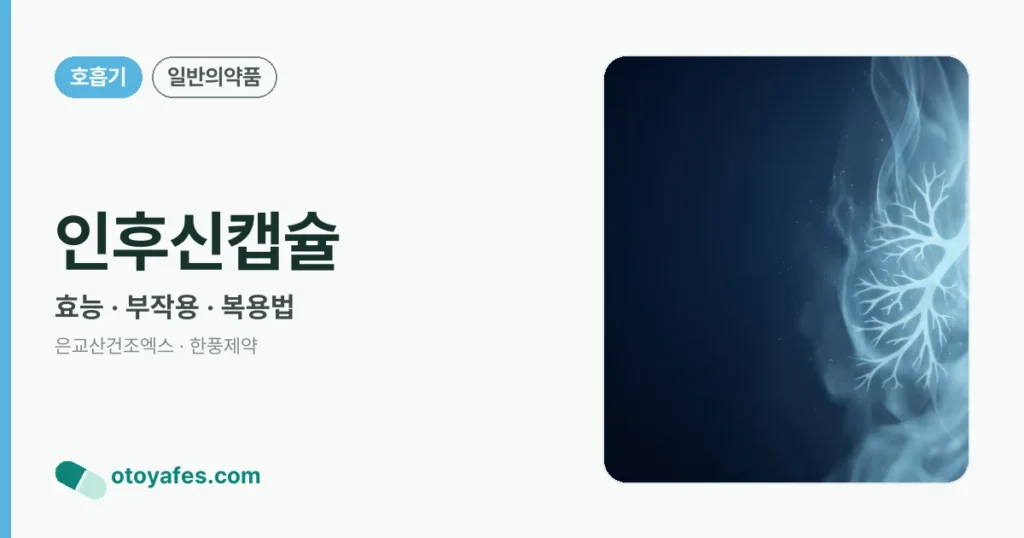 인후신캡슐 정리 썸네일