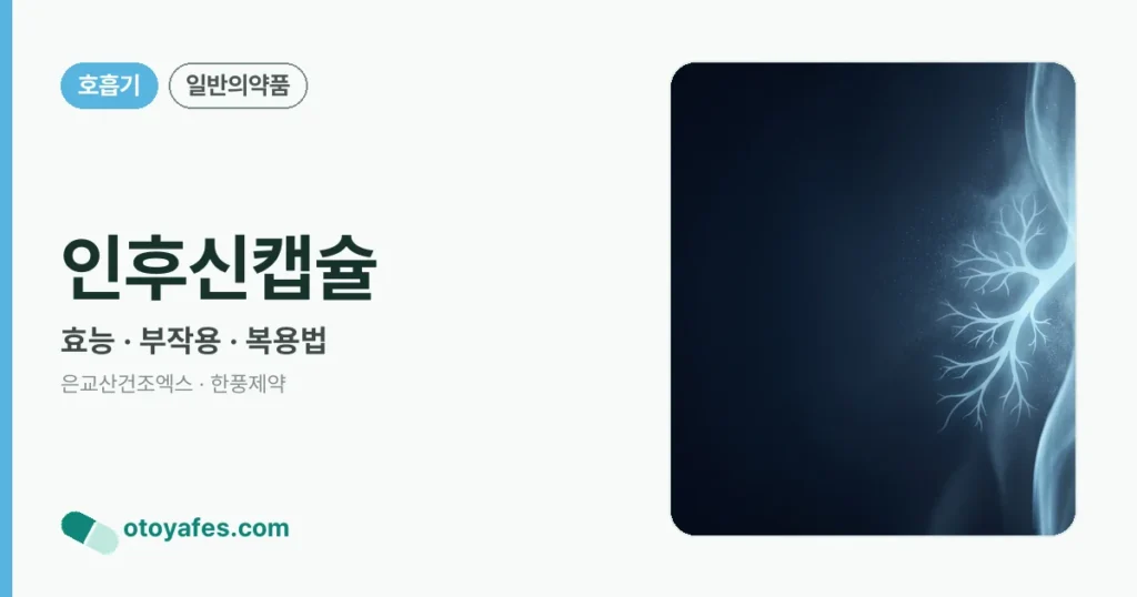 인후신캡슐 정리 썸네일