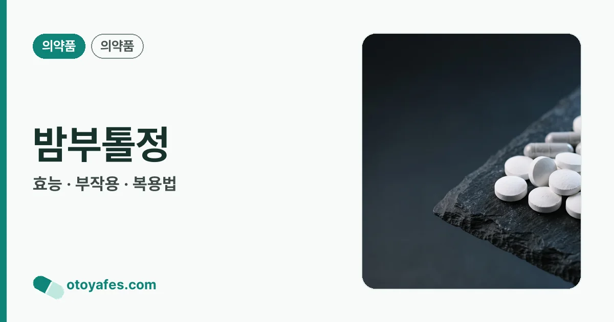 밤부톨정 정리 썸네일