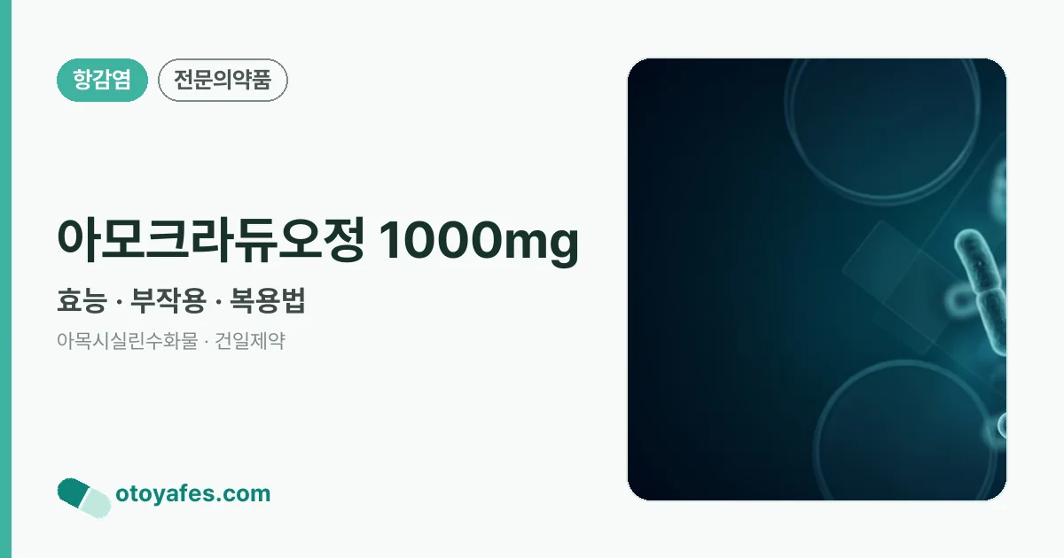 아모크라듀오정 1000mg 정리 썸네일