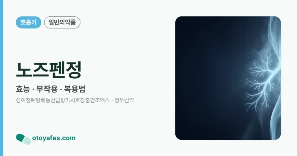노즈펜정 정리 썸네일