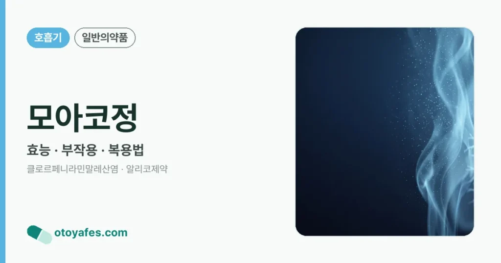 모아코정 정리 썸네일