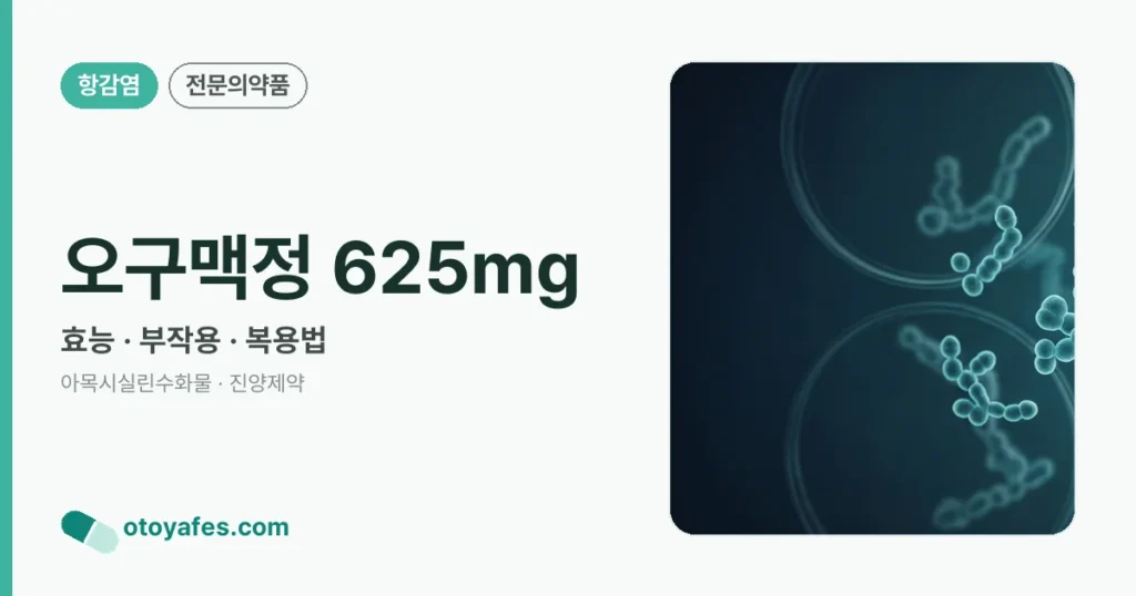 오구맥정 625mg 정리 썸네일