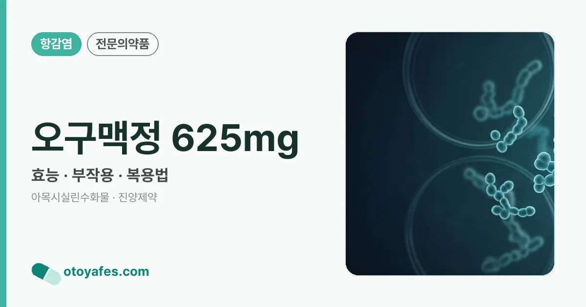 오구맥정 625mg 정리 썸네일