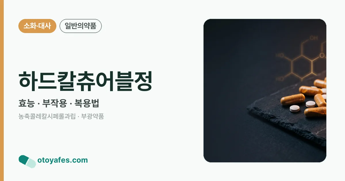 하드칼츄어블정 정리 썸네일