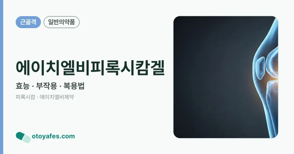 에이치엘비피록시캄겔 정리 썸네일