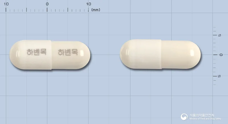 하벤목에스캡슐 실물 사진