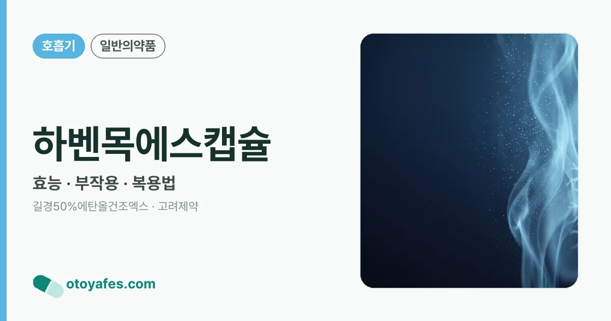 하벤목에스캡슐 정리 썸네일