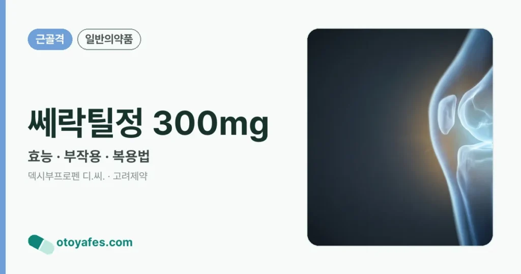 쎄락틸정 300mg 정리 썸네일