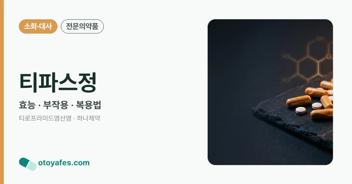 티파스정 정리 썸네일