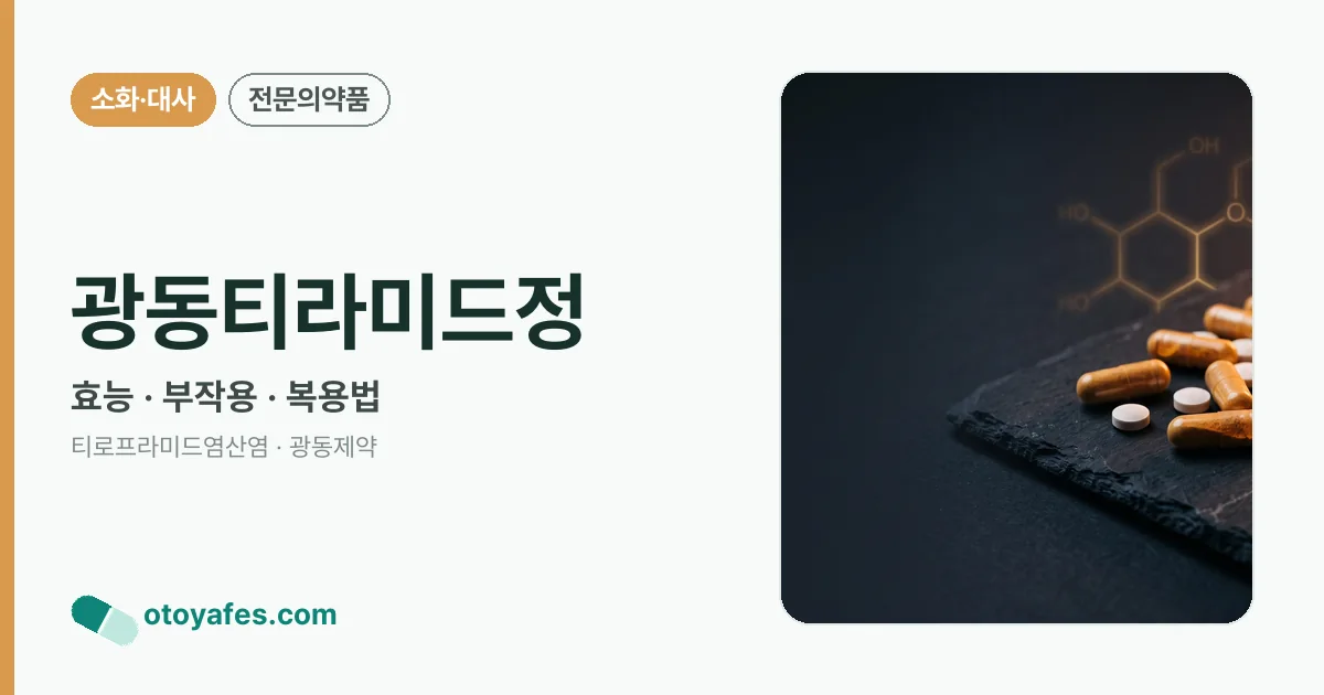 광동티라미드정 정리 썸네일