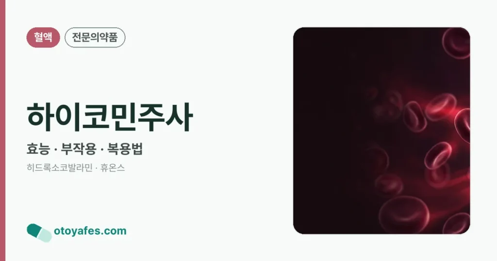 하이코민주사 정리 썸네일