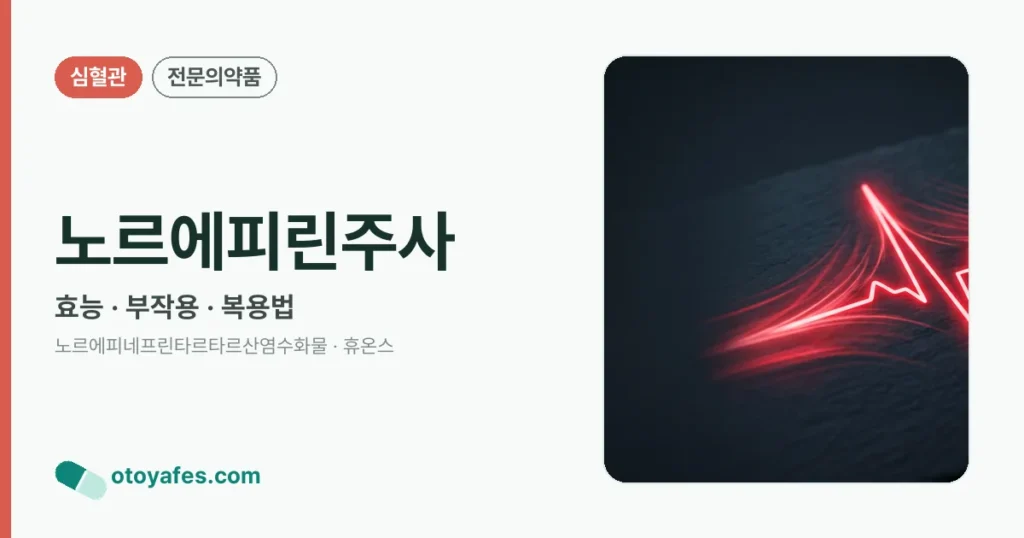 노르에피린주사 정리 썸네일
