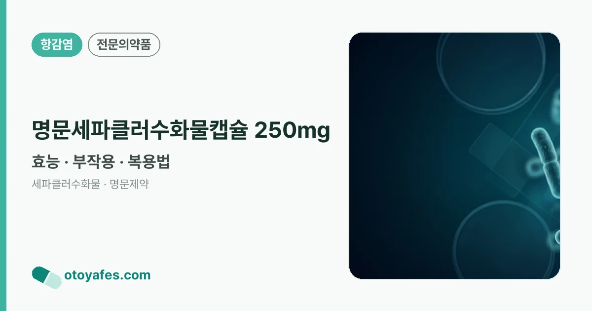 명문세파클러수화물캡슐 250mg 정리 썸네일