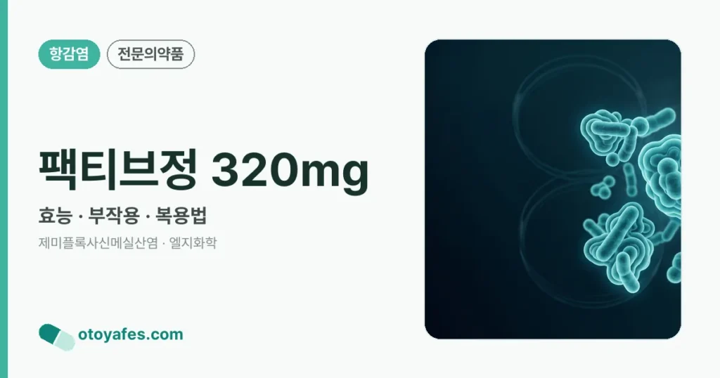 팩티브정 320mg 정리 썸네일