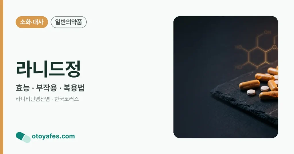 라니드정 정리 썸네일