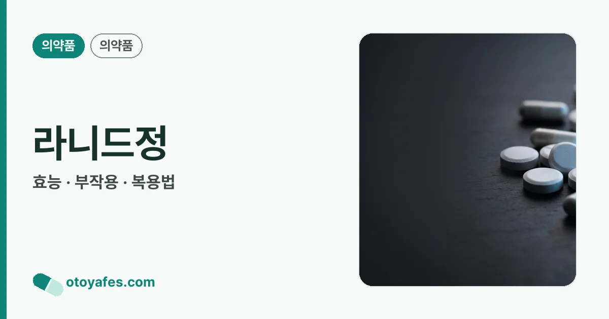 라니드정 정리 썸네일