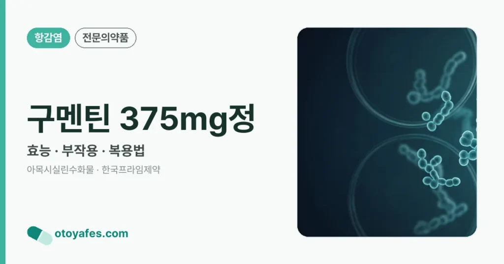구멘틴 375mg정 정리 썸네일