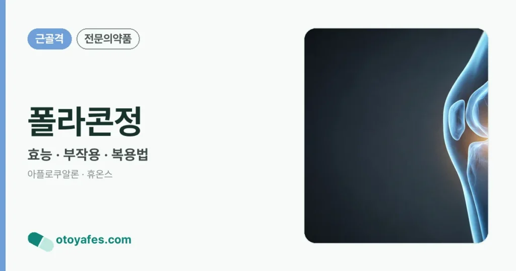 폴라콘정 정리 썸네일