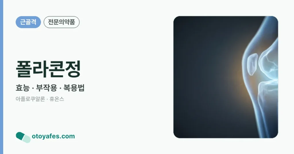 폴라콘정 정리 썸네일