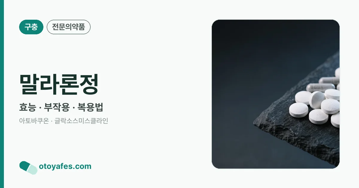 말라론정 정리 썸네일