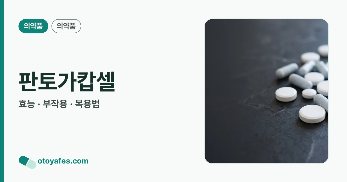 판토가캅셀 정리 썸네일