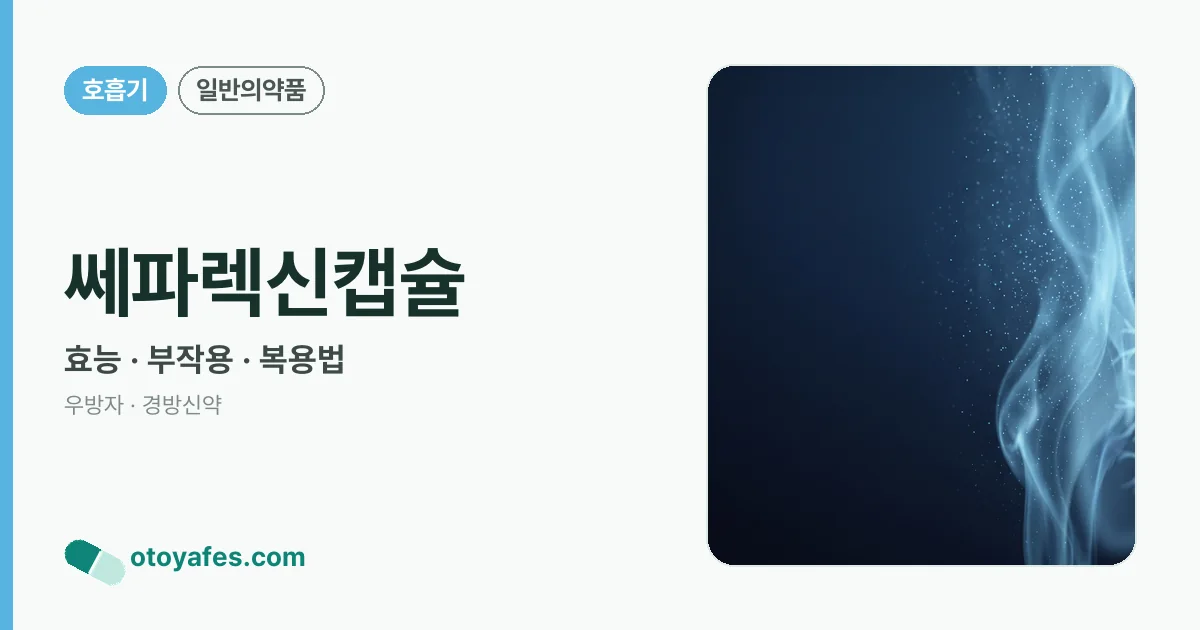 쎄파렉신캡슐 정리 썸네일