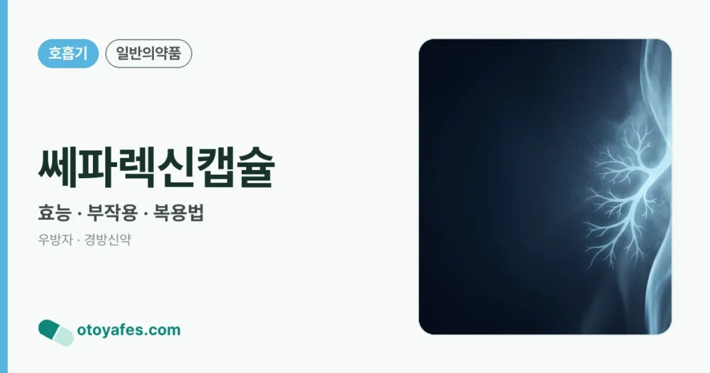 쎄파렉신캡슐 정리 썸네일