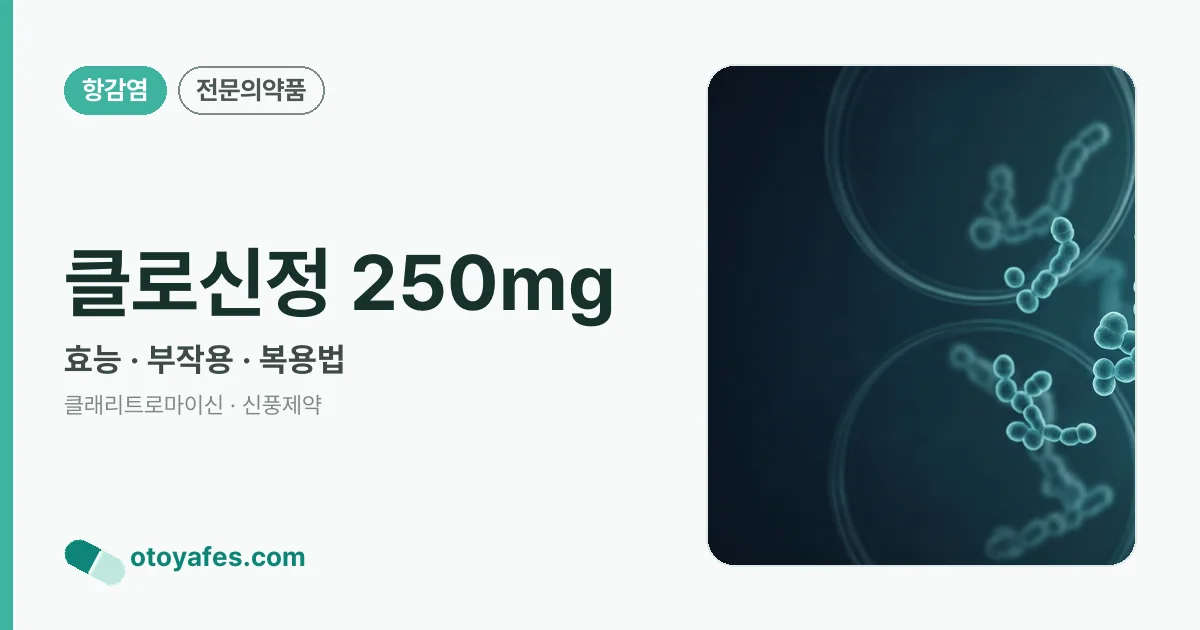 클로신정 250mg 정리 썸네일