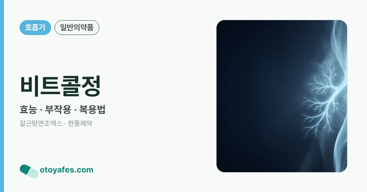 비트콜정 정리 썸네일