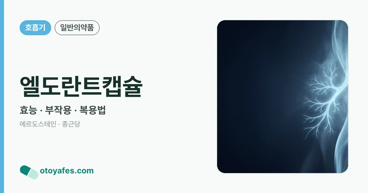 엘도란트캡슐 정리 썸네일