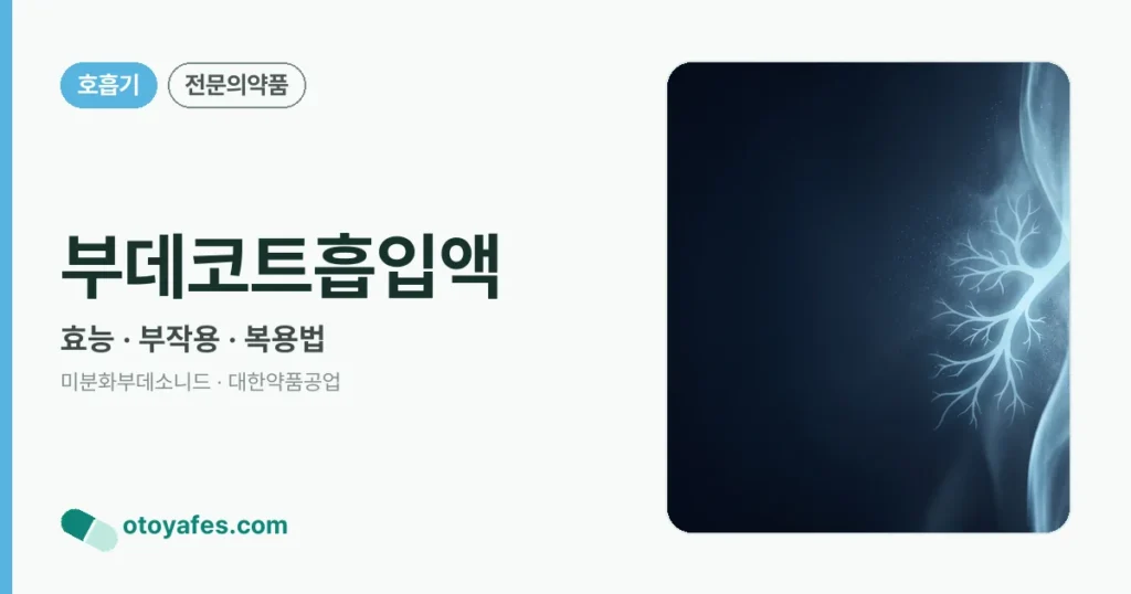 부데코트흡입액 정리 썸네일