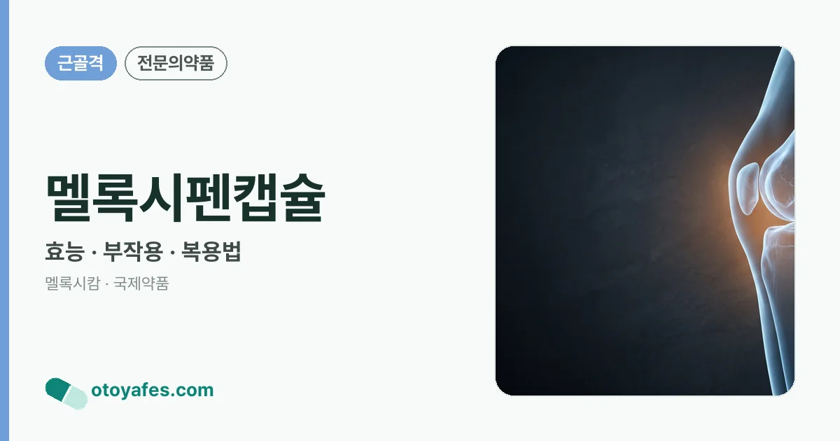멜록시펜캡슐 정리 썸네일
