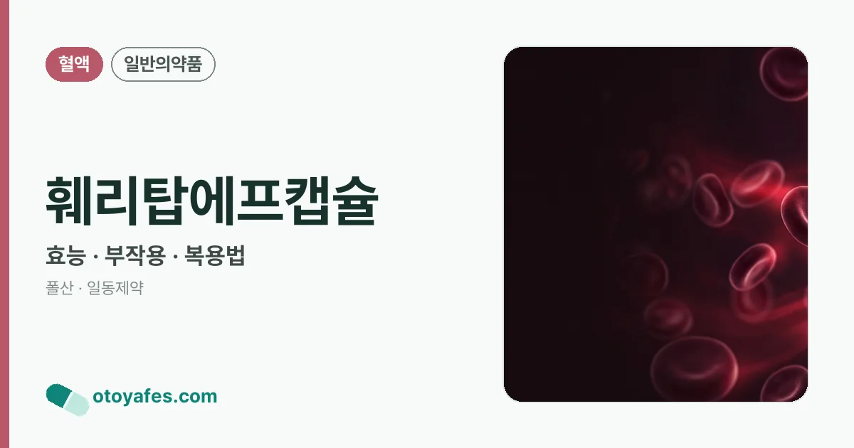 훼리탑에프캡슐 정리 썸네일