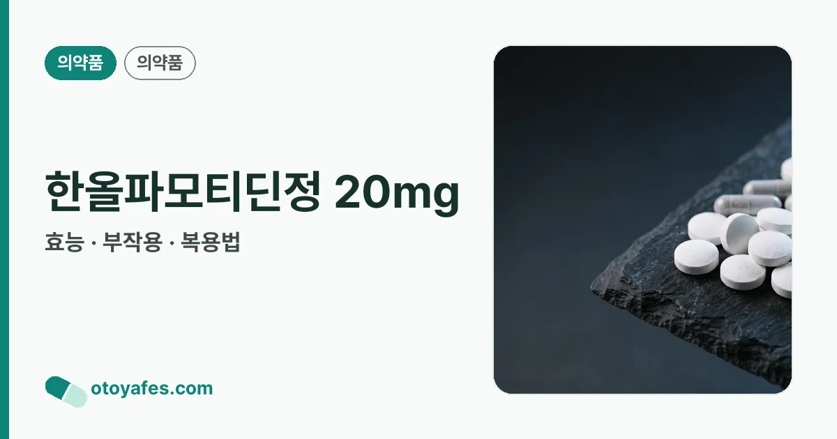 한올파모티딘정 20mg 정리 썸네일