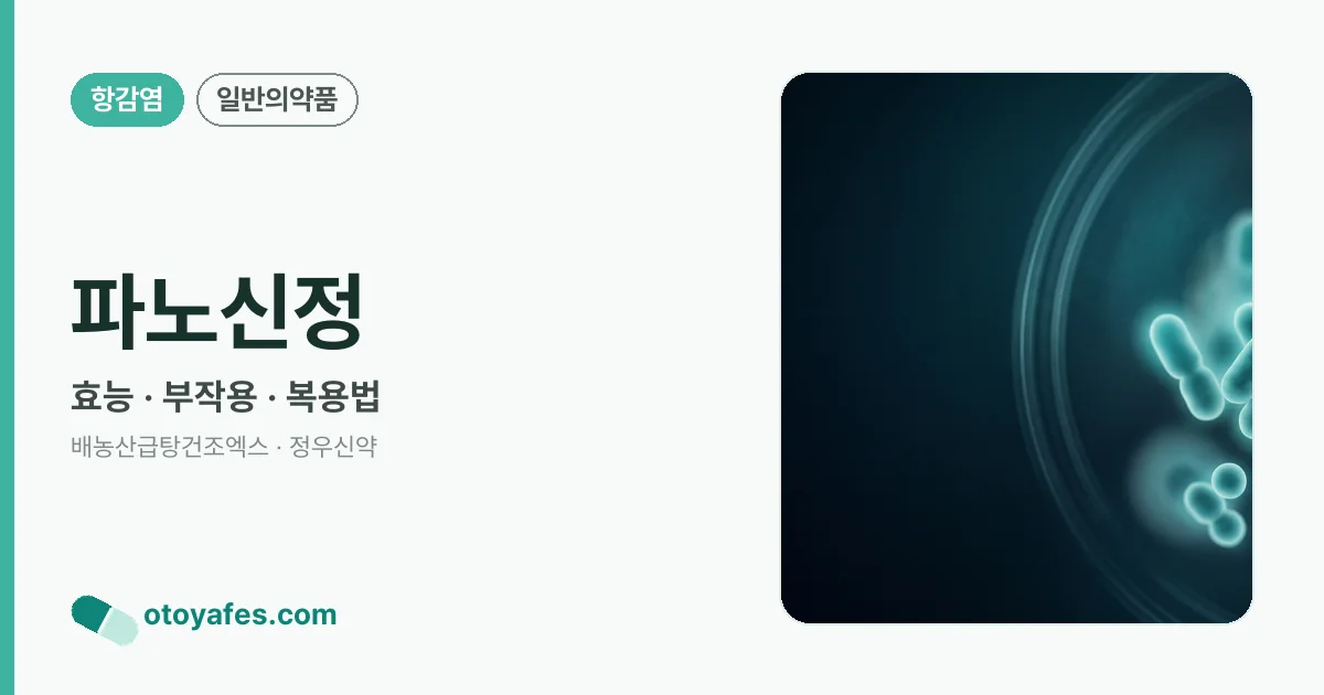 파노신정 정리 썸네일