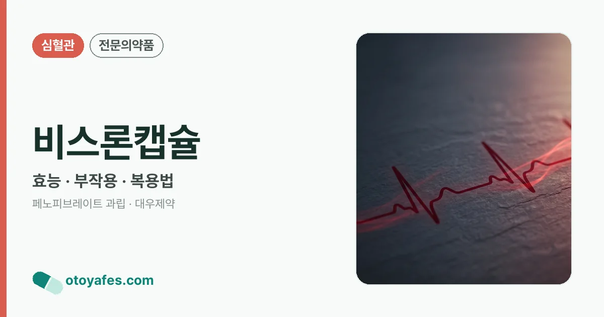 비스론캡슐 정리 썸네일