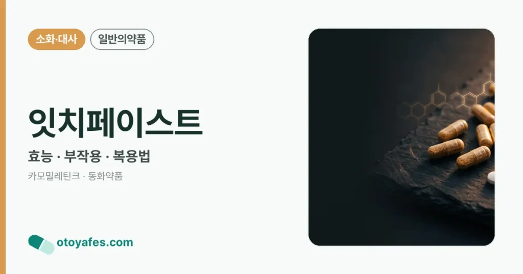 잇치페이스트 정리 썸네일