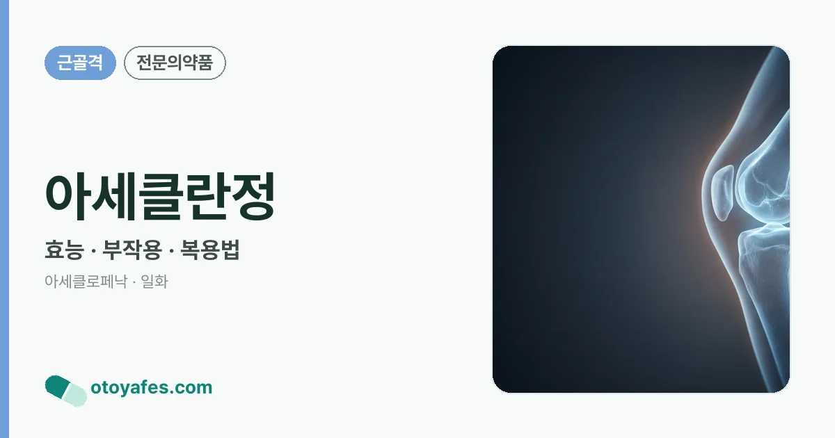 아세클란정 정리 썸네일