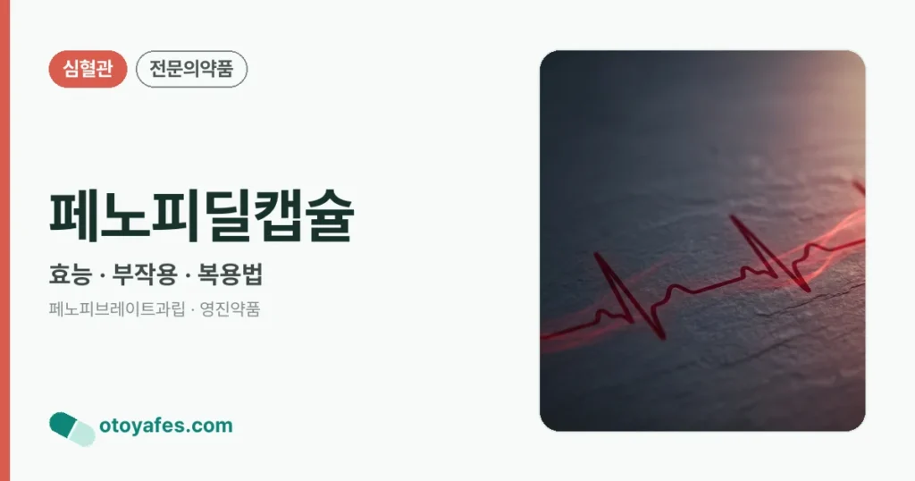 페노피딜캡슐 정리 썸네일