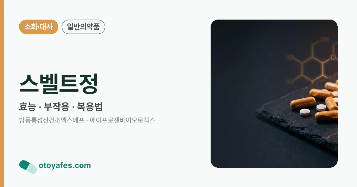 스벨트정 정리 썸네일