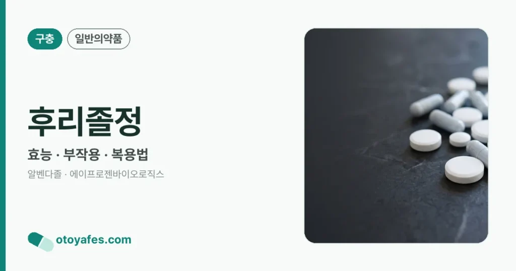 후리졸정 정리 썸네일