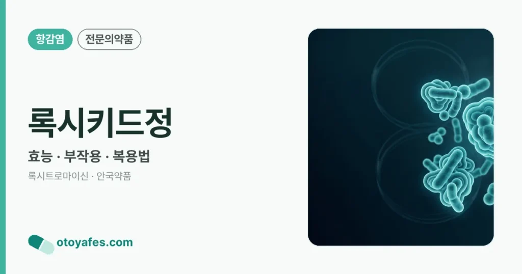 록시키드정 정리 썸네일